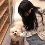武道九天最新版下载